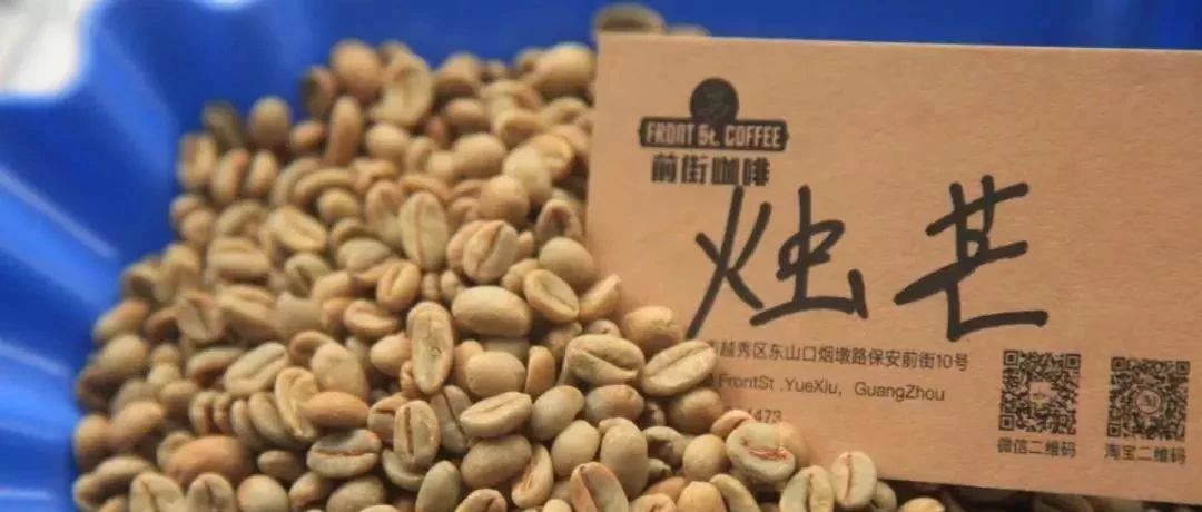 沖煮【西達(dá)摩 燭芒】| 種“聰明”打開(kāi)方式？