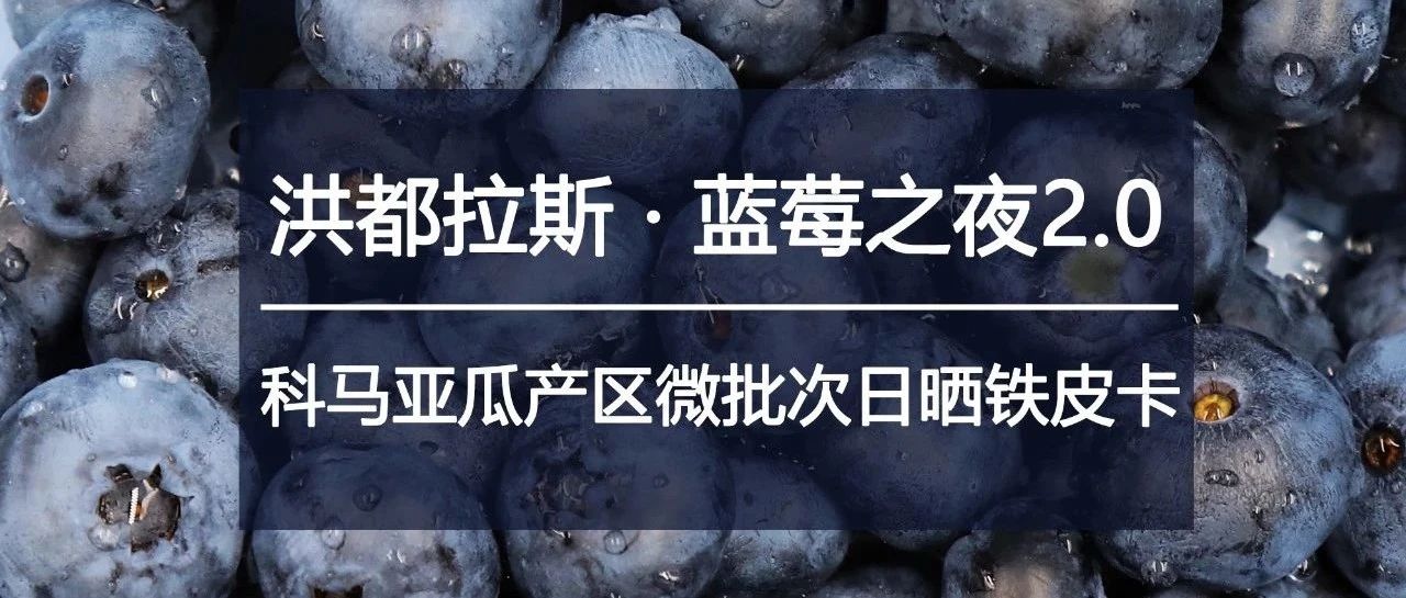 洪都拉斯新豆第包半價(jià)，只在今天！