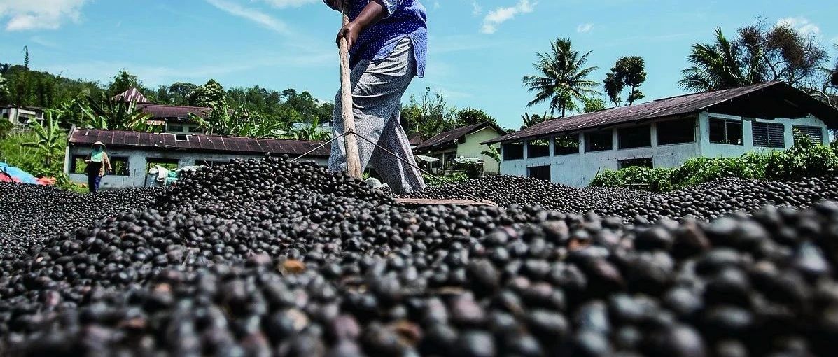 高考咖啡科知識點(diǎn)，幫你整理好了！（全是干貨）