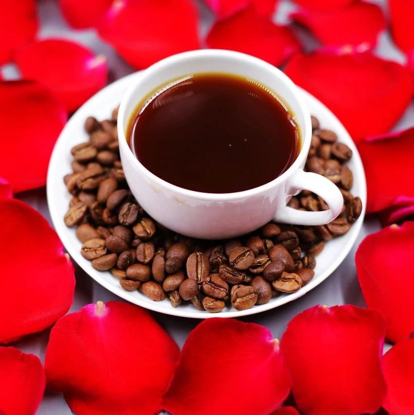您喜歡的手沖創(chuàng)意豆“紅”歸來(lái)，#限量組合特惠#來(lái)帶走！