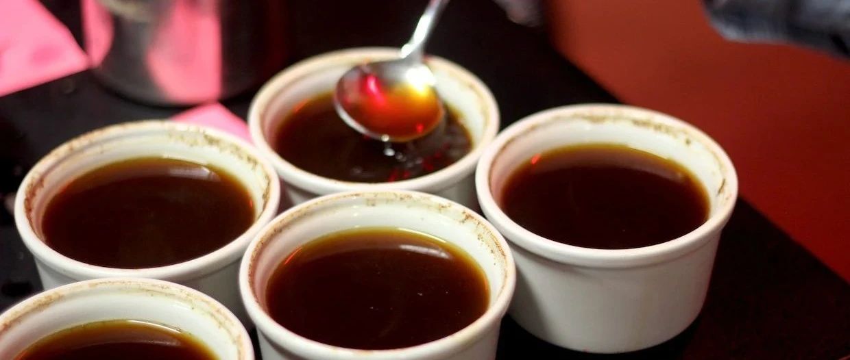 疫情全球肆虐，咖啡杯測(cè)將被終結(jié)？