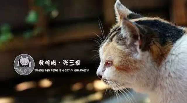張三瘋奶茶--深挖“記憶點” 讓消費者過目難忘
