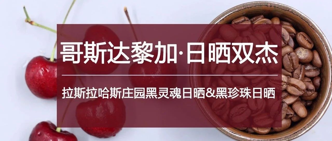 .折入手"日曬雙杰"，這下要火了！