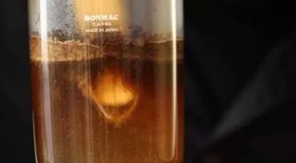 虹吸壺技巧 | 下壓法、攪拌法、鐘擺法、十字法