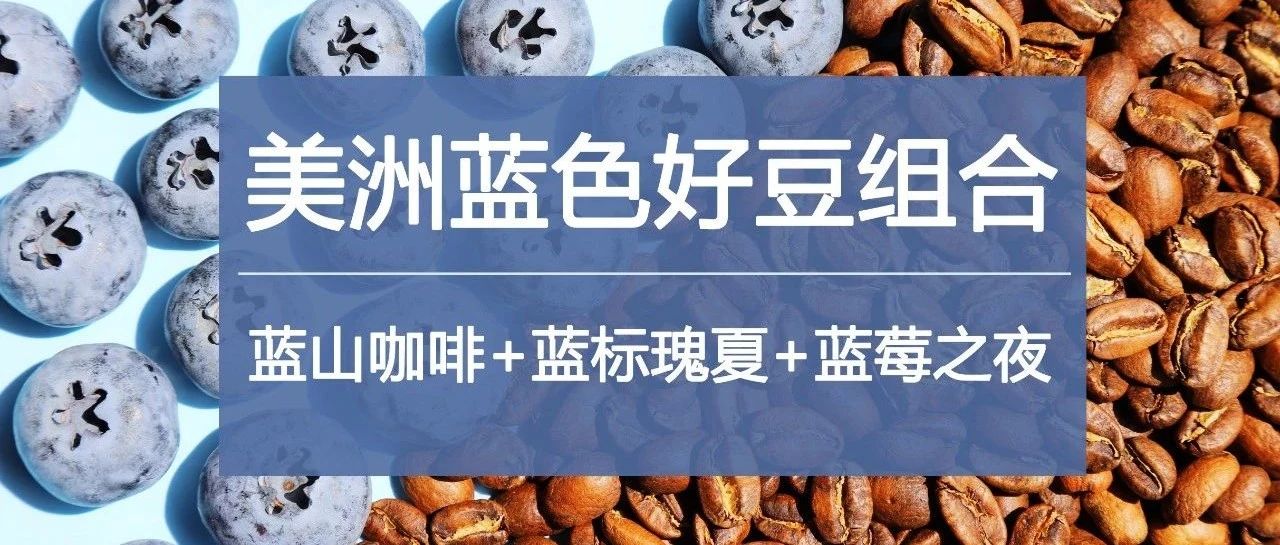 勁省 元！(藍山咖啡+藍標瑰夏+藍莓之夜)組合特惠，國慶中秋喝起來！