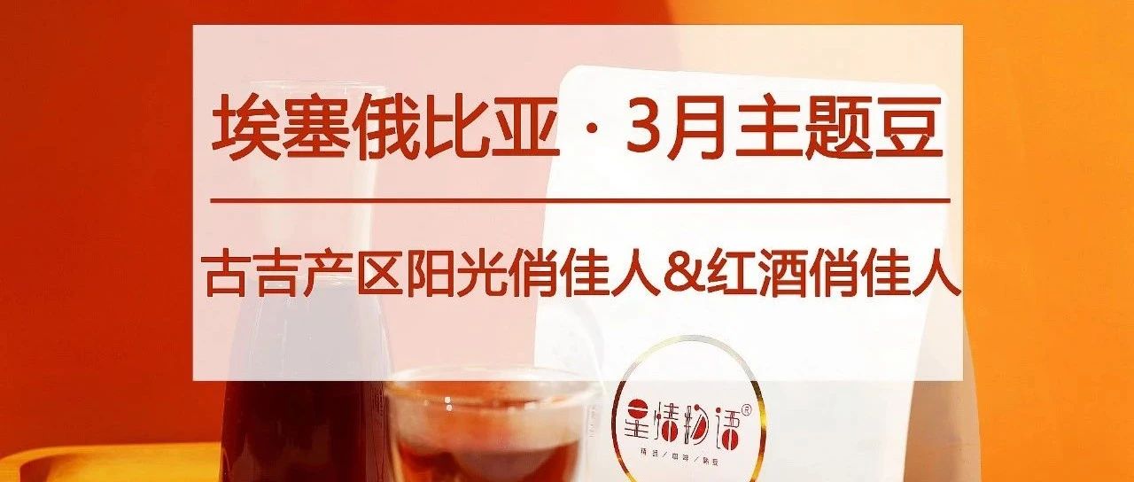 月主題豆 折提前購(gòu)，手沖咖啡控一看就心動(dòng) :)