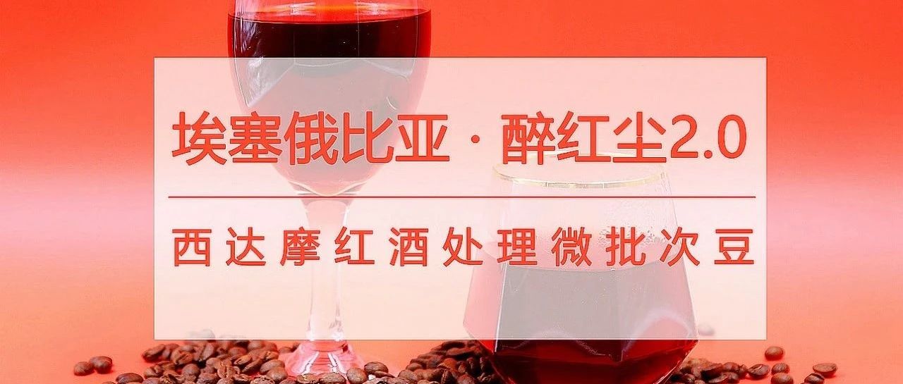 爆款酒香豆第包半價(jià)，好這口的已入手