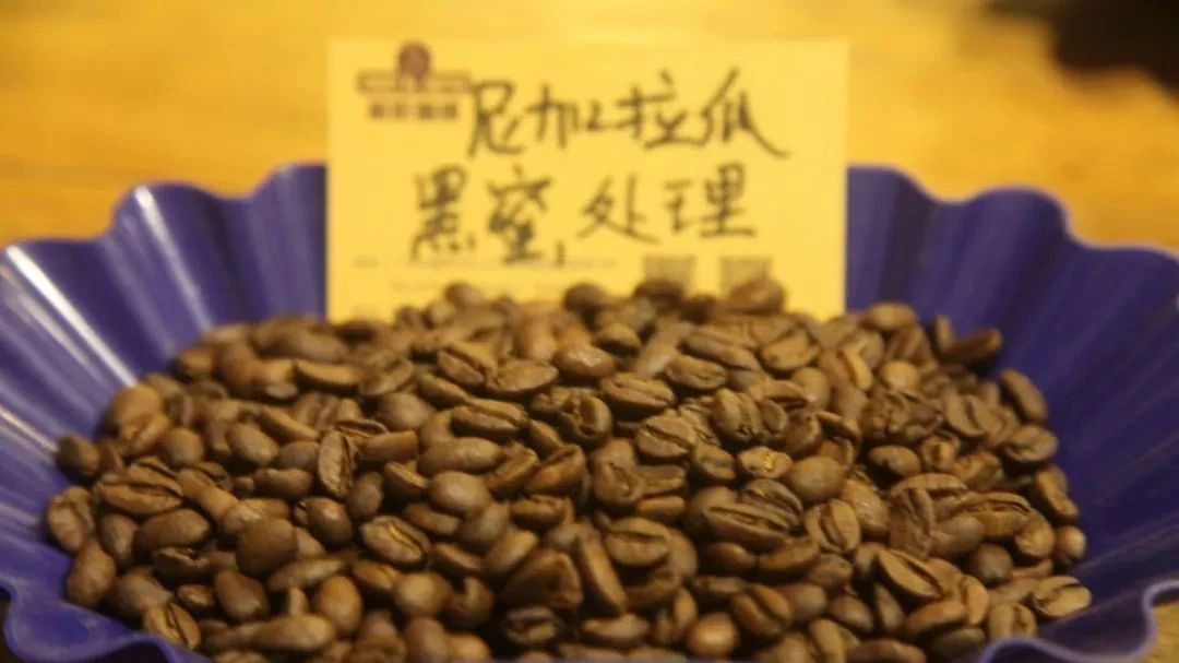 【尼加拉瓜  黑蜜處理】專題報告