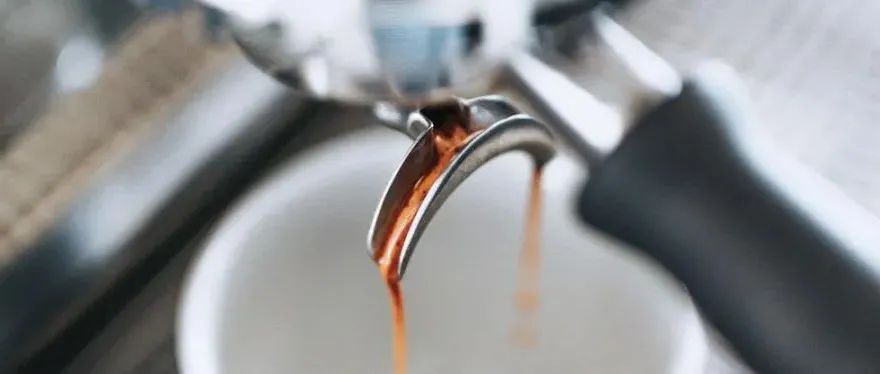 咖啡油脂這么苦，為什么還會有人喜歡？