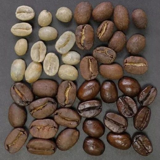 咖啡烘焙真的很難入門？先來了解烘豆的基礎(chǔ)觀念！