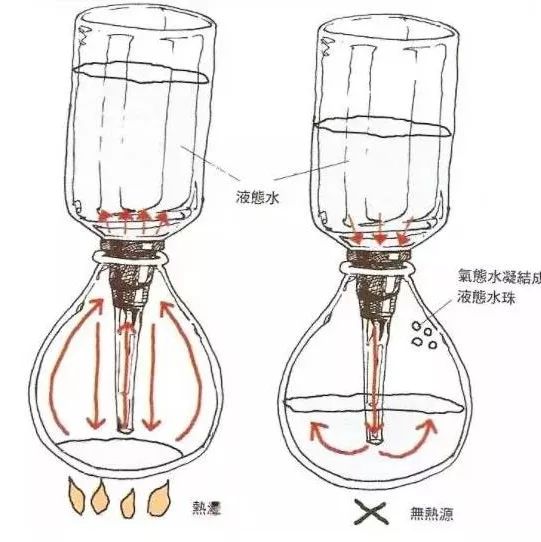 虹吸萃取技巧  | 淺度烘焙、中度烘焙、中深度烘焙
