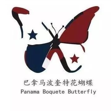 巴拿馬花蝴蝶 | 咖啡工房研習(xí)課室