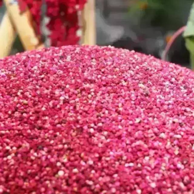 coco都可茶飲青睞臺東農產，推紅藜拿鐵