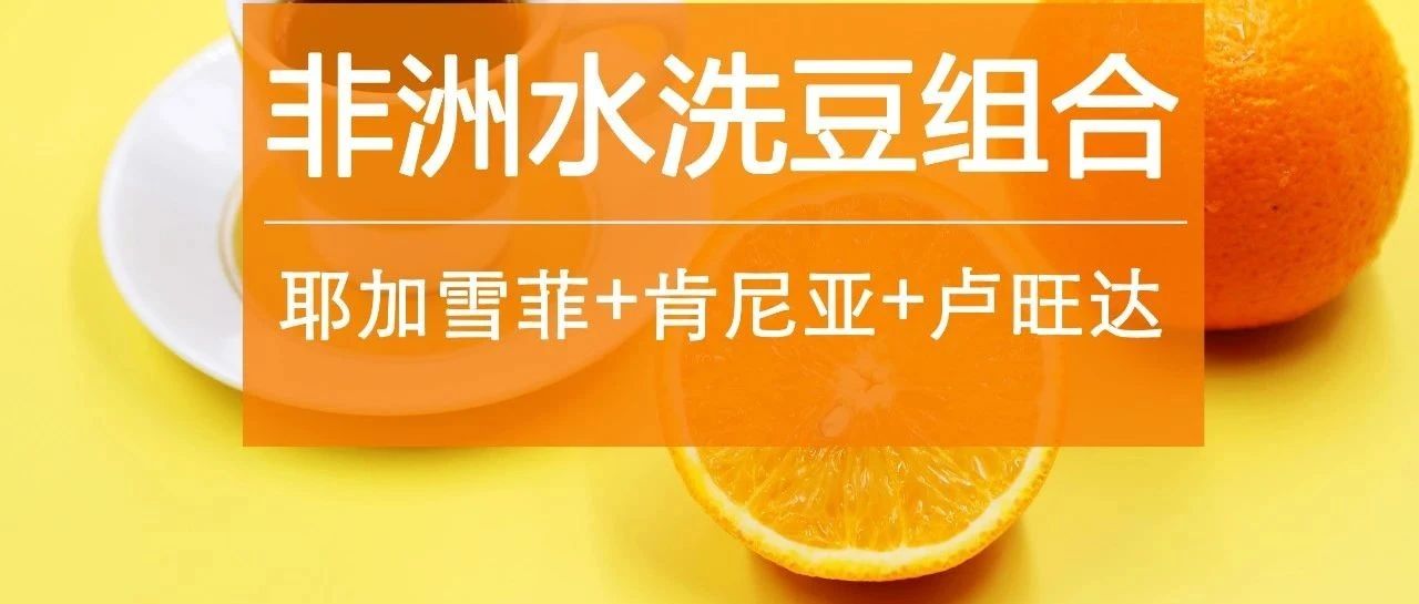 包非洲好豆  元購，限時特惠熱銷中！