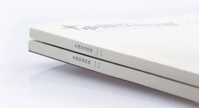 紙質(zhì)版《中國飲品快報》第二輯 招商公告