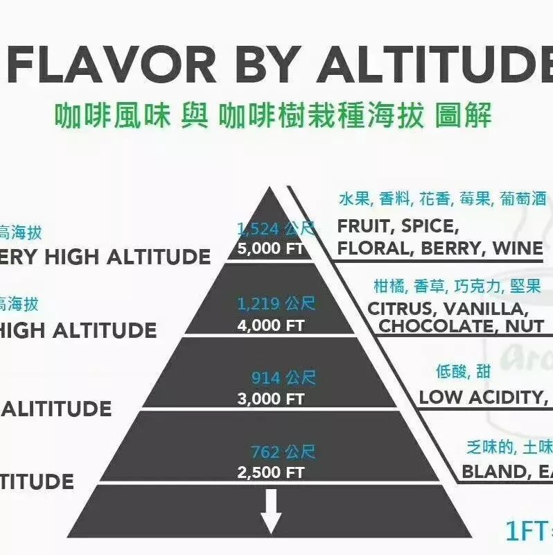 咖啡地圖 ▏比較出名的高“山”咖啡，咖啡種植海拔對風(fēng)味的影響