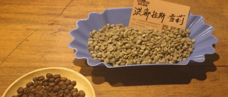 【前街咖啡師手記】洪都拉斯威士忌雪莉酒桶發(fā)酵咖啡的專題報告
