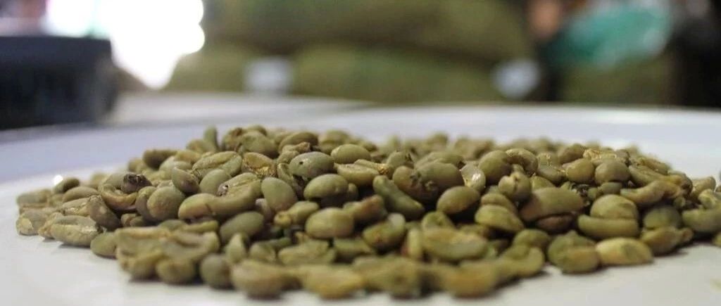 一條短片解釋生豆處理法——濕刨法
