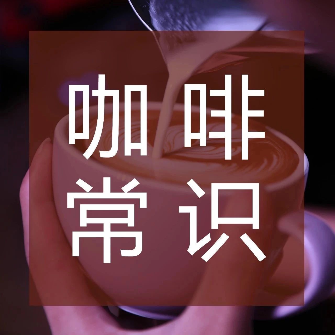 咖啡館點單指南，分享一起漲姿勢