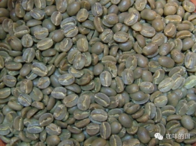 巴西干旱使咖啡產(chǎn)量損失嚴重  預計減產(chǎn)量為 ％