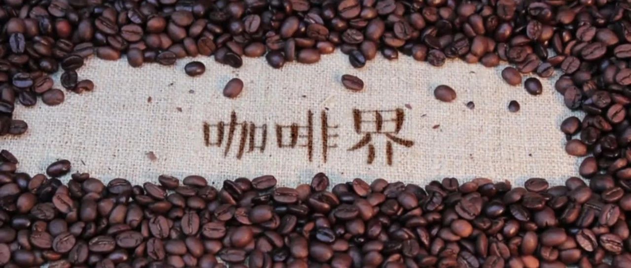 化學(xué)高才生玩咖啡，玩成烘焙冠軍！