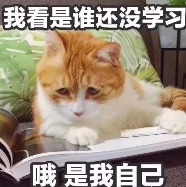 拉花終極感悟：拉花虐我千萬遍，我待拉花入初戀！
