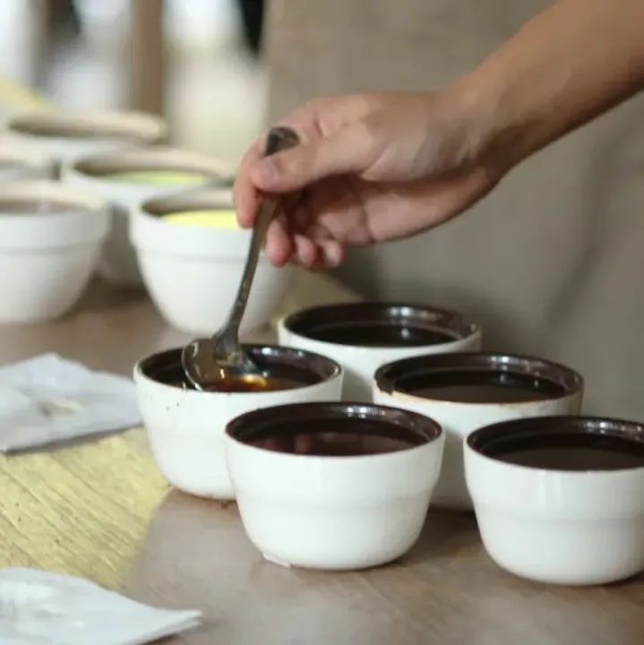 如何確定咖啡風(fēng)味？帶你了解SCA咖啡杯測的詳細(xì)過程步驟
