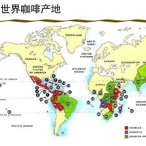 咖啡知識 | 三大咖啡品種是什么？