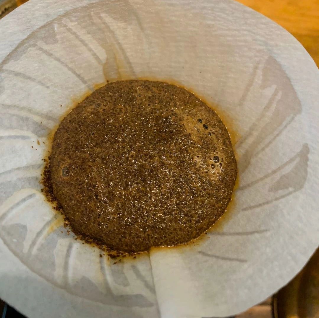 咖啡知識 | 耶加雪菲孔加合作社日曬咖啡風(fēng)味特點(diǎn)
