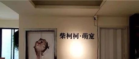 咖啡館養(yǎng)國寶動物招攬顧客引人身攻擊，官方回應：涉嫌違規(guī)展示！