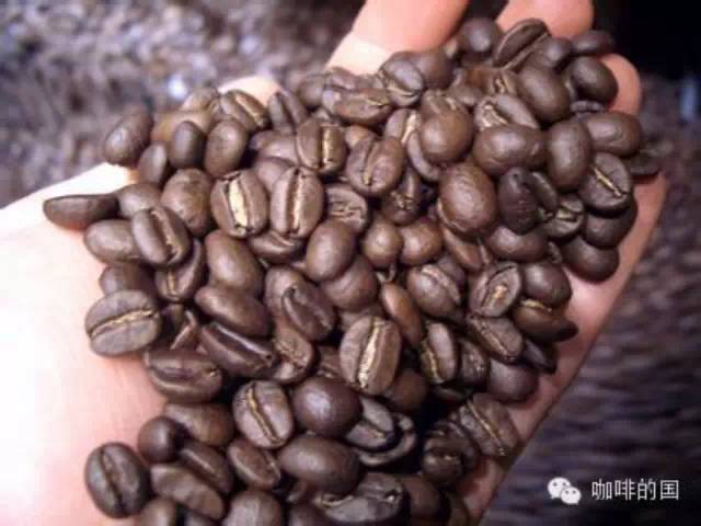COE   一種精品咖啡評(píng)級(jí)制度