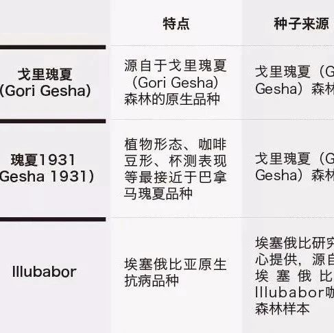 咖啡產(chǎn)區(qū)指南 | 瑰夏村莊園紅標(biāo)批次和查卡批次有什么不一樣？