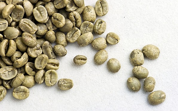 咖啡豆加工法法介紹：蜜處理