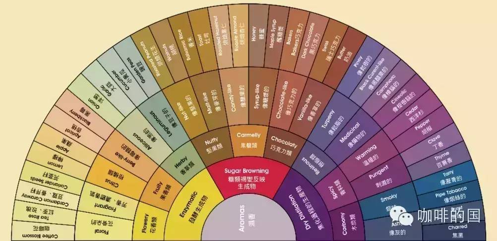 糾結(jié)咖啡風(fēng)味？看看這個(gè)，秒懂風(fēng)味輪！