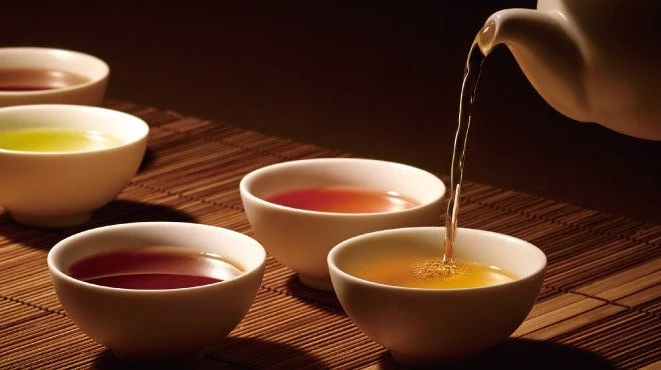 中國(guó)茶品鑒興趣課程 | 一棵茶樹的故事