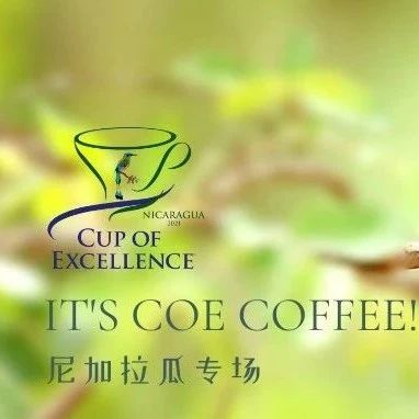 命途多舛的CoE擁躉——尼加拉瓜 | 產(chǎn)地故事+全國分享會