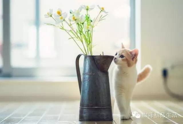 有夢(mèng)想的人，都想開家這么美的店