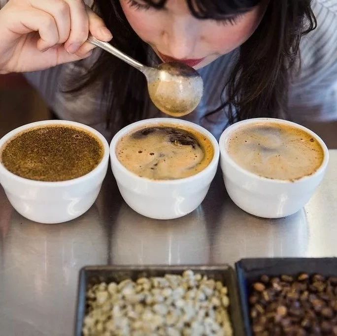 Coffee Cupping | 參加咖啡杯測前必須了解的幾點知識