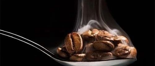 怎么養(yǎng)，養(yǎng)多大？養(yǎng)豆的科學