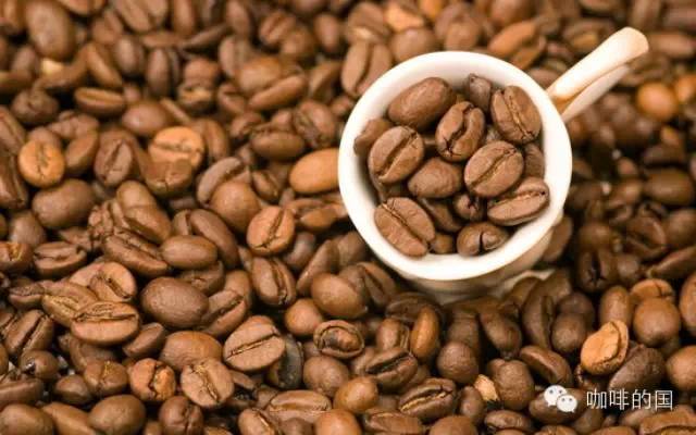 Peaberry圓豆