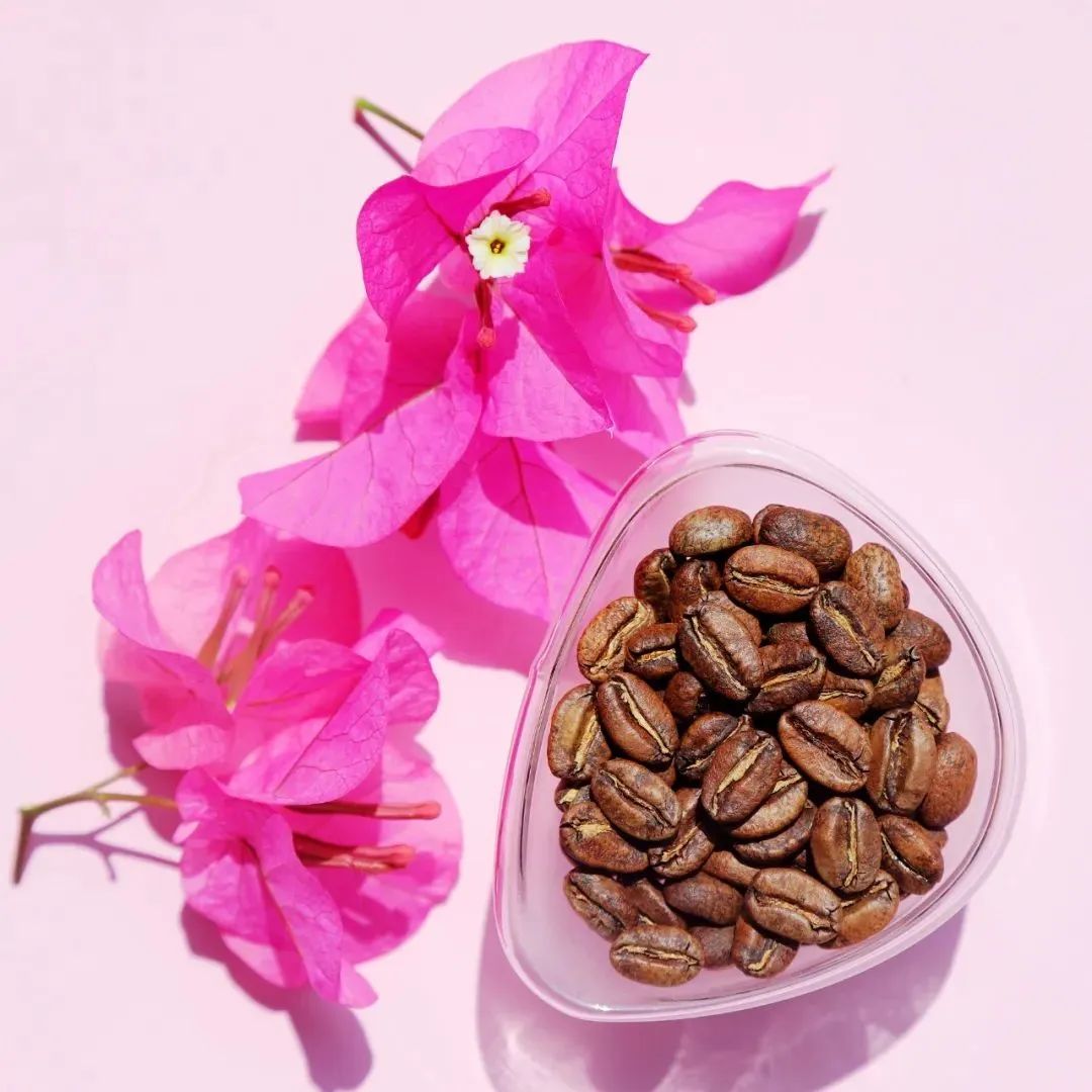 你喝過蜜處理粉波旁嗎？水果甜感滿滿~