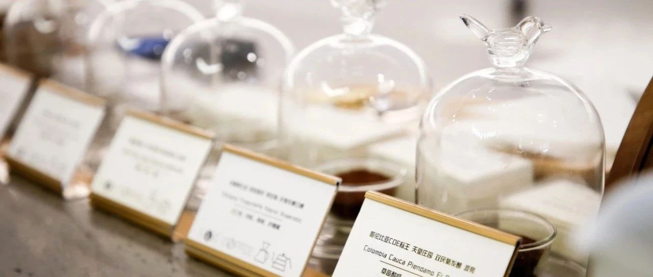 為什么我們會用很多詞語來描述風味？