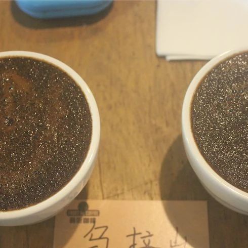再做一次烘豆「悶蒸」實驗：回溫點再開火會有什么后果？