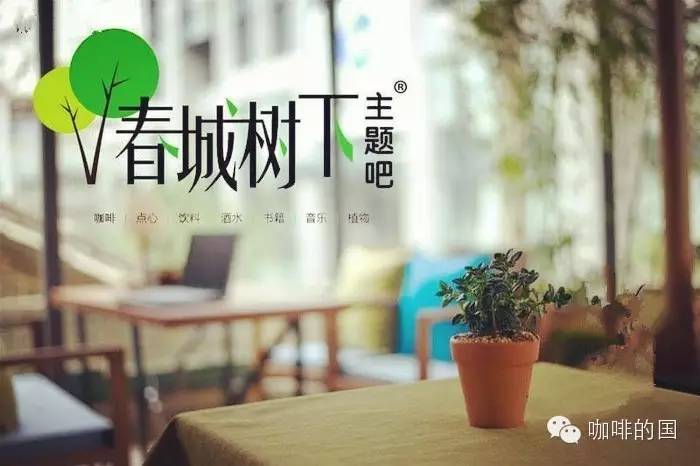 【昆明咖啡館推薦】春城樹下主題吧