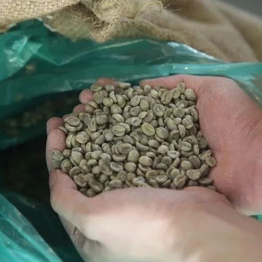 如何購買上等生豆？咖啡粉的新鮮度怎么看？