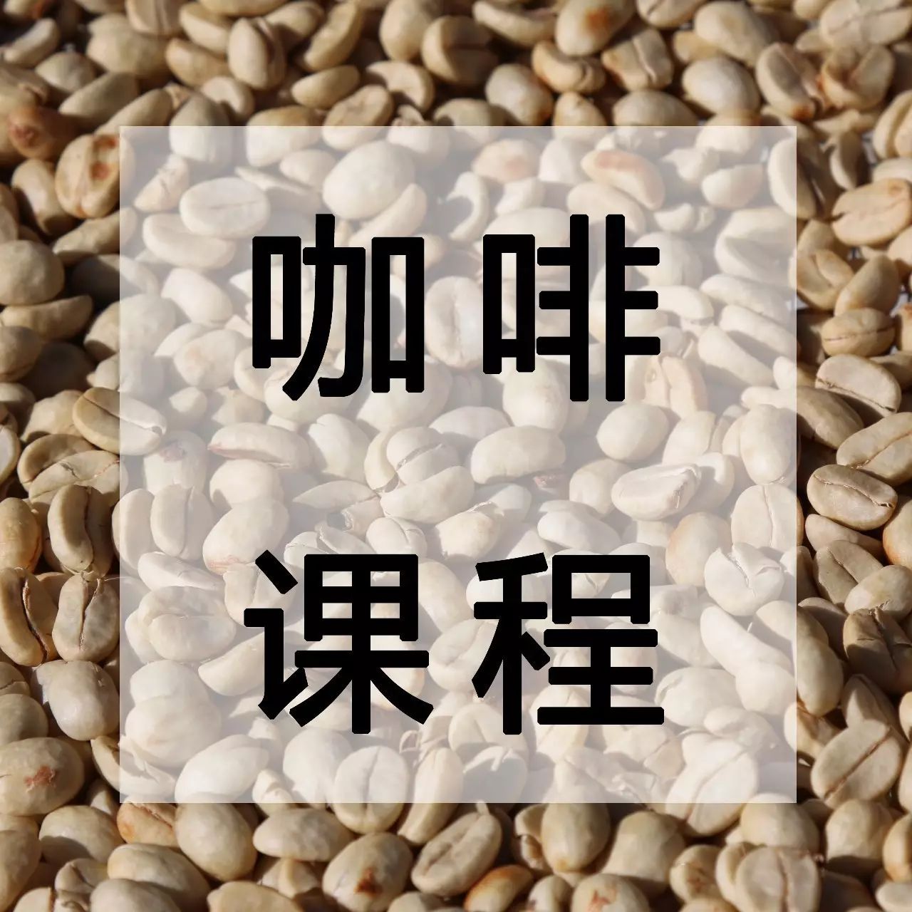 咖啡課程 | 蘭州SCA 感官 I 級課程