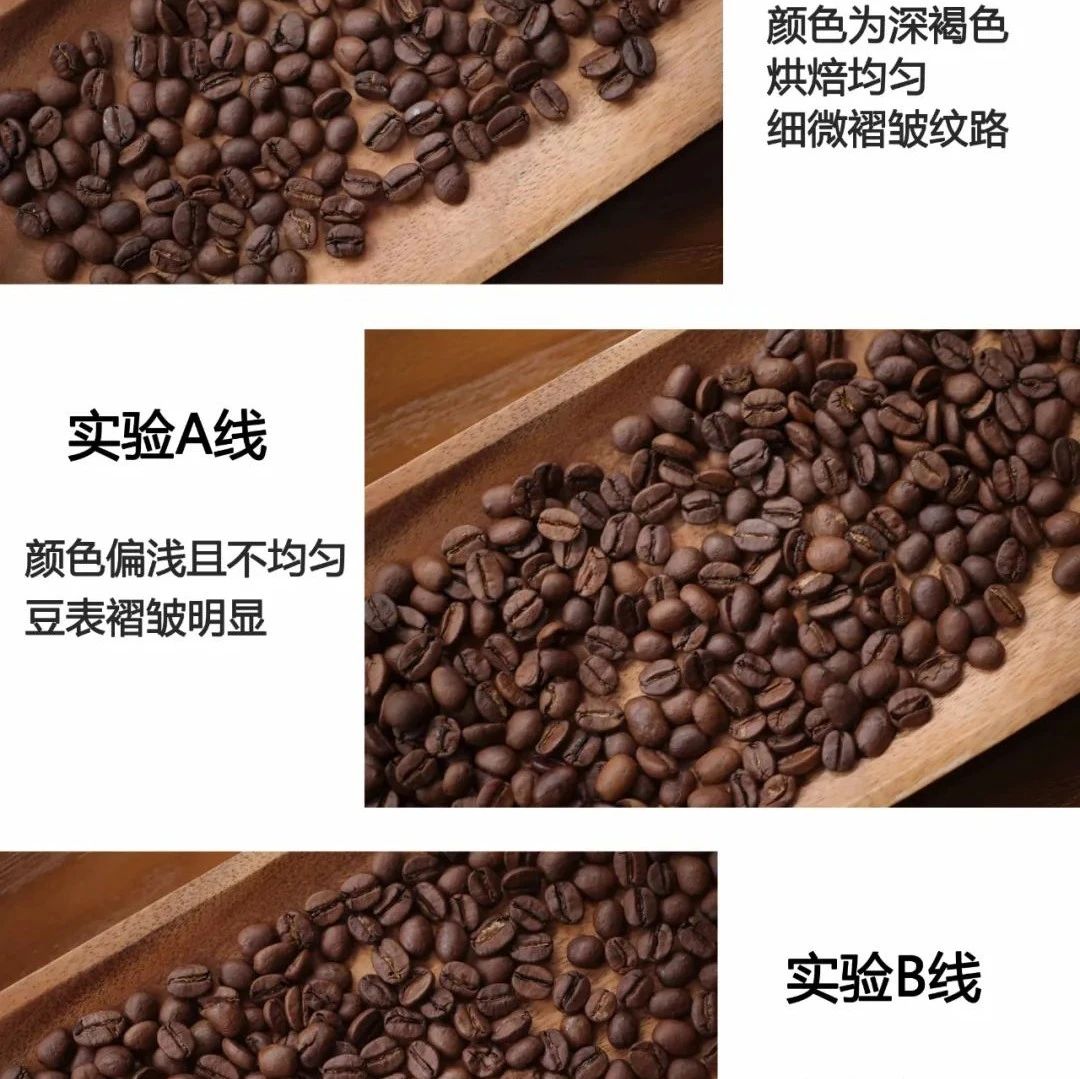 從零開(kāi)始的咖啡烘焙 | 烘焙第三課：探索發(fā)展期對(duì)咖啡風(fēng)味的影響
