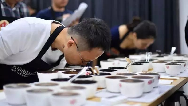 云南生豆賽開賽，百Q(mào)齊聚普洱共品好咖啡