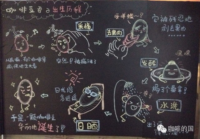 兩張圖告訴你咖啡是怎么煉成的。。