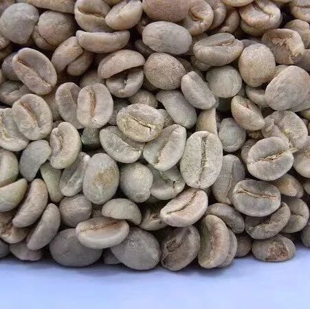 咖啡知識 |   如何區(qū)分硬豆＆軟豆？